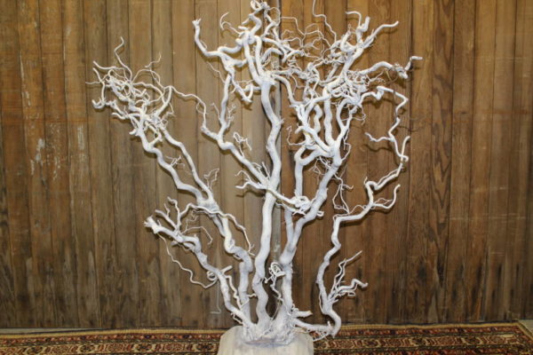 White Tree Stand