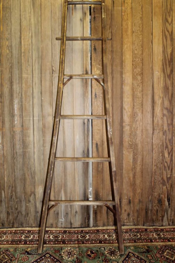 Apple Picker Ladder