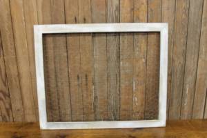 Silver Scaled Trimmed Chicken Wire Frame